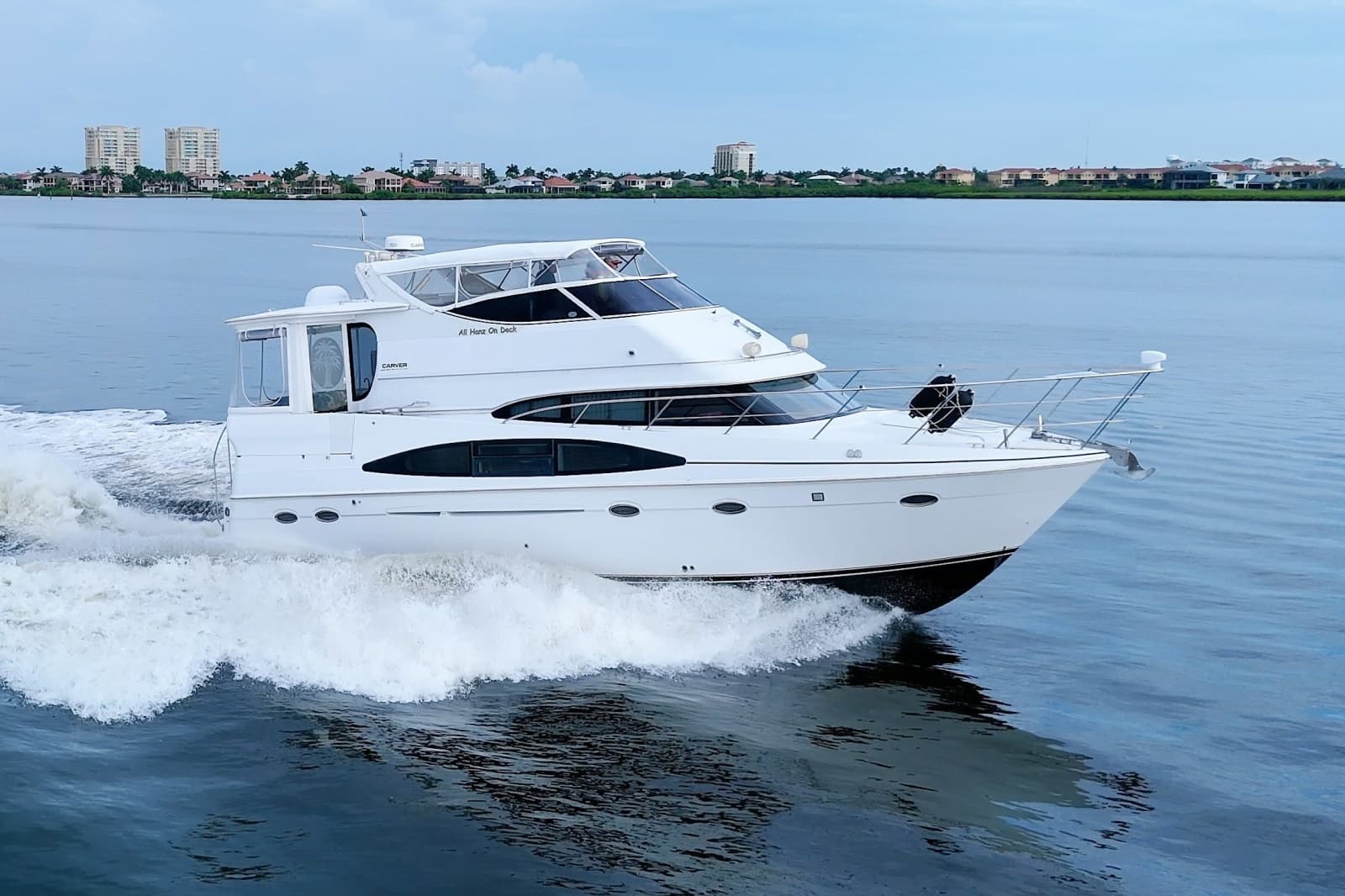2001 Carver 466 Motor Yacht - Photo 6