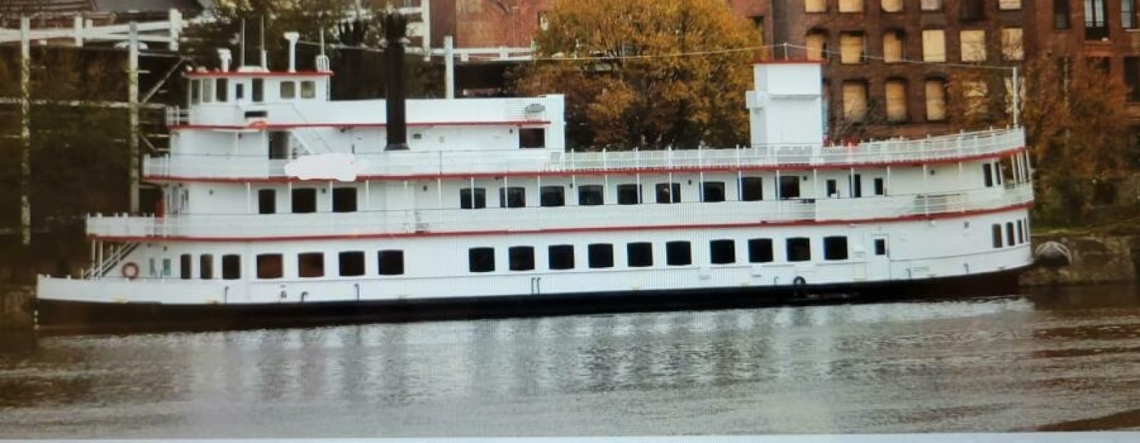 1985 Custom Dinner/Excursion/Passenger - Photo 3