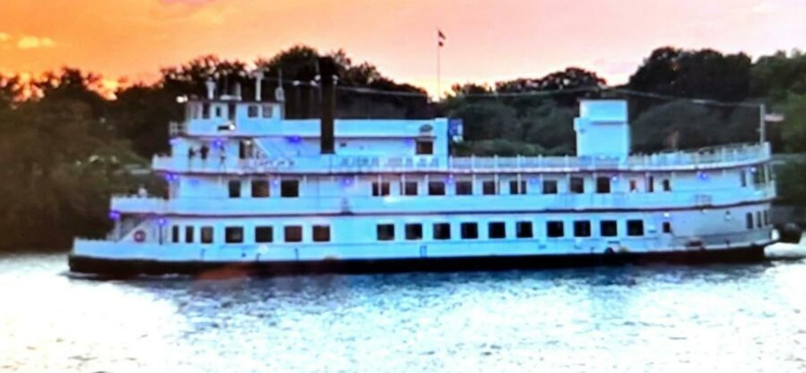 1985 Custom Dinner/Excursion/Passenger - Photo 4