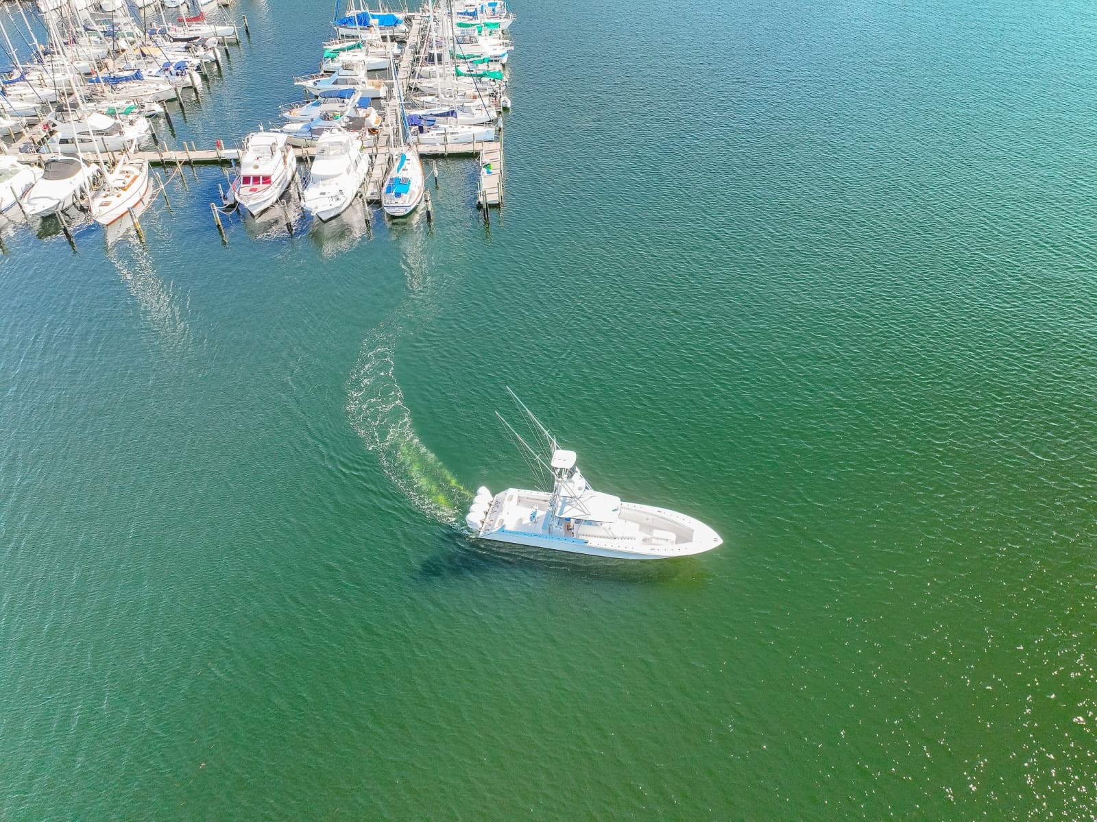 2015 SeaHunter 45 Tournament - Photo 20