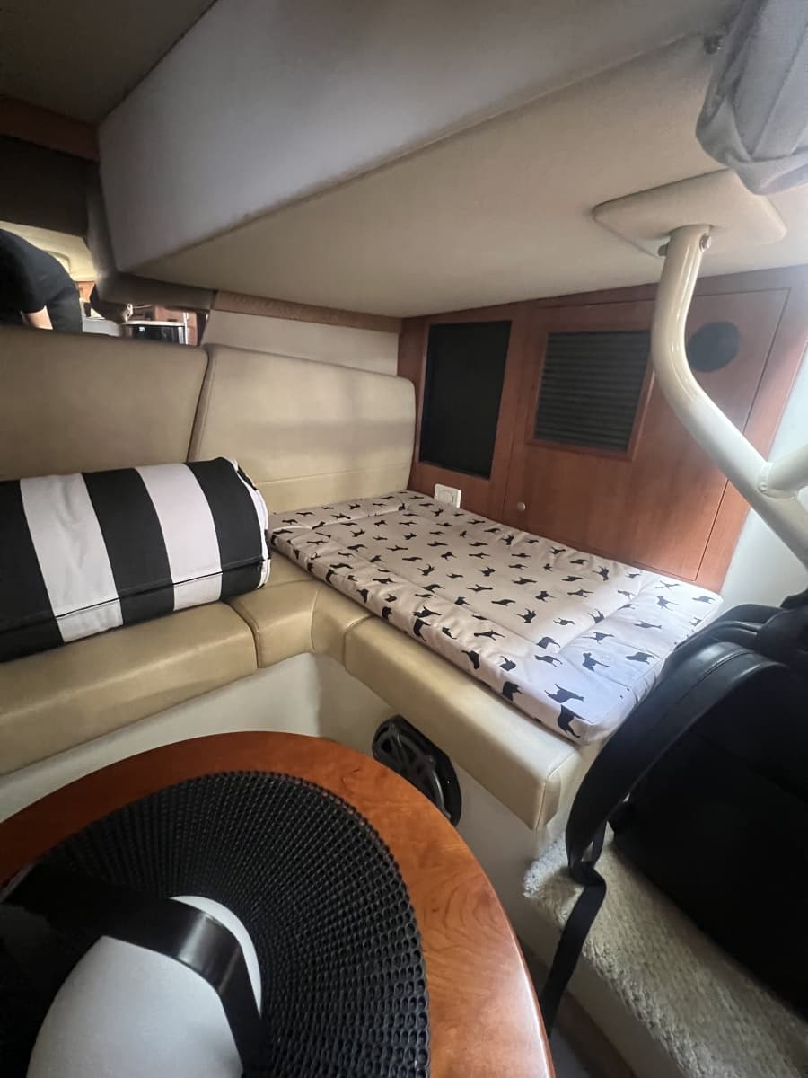 2010 Cruisers Yachts 360 Express - Photo 28