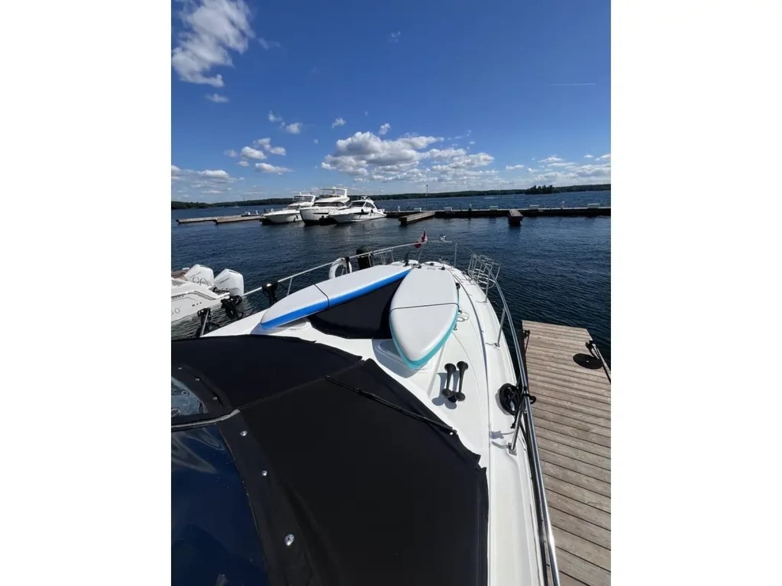2010 Cruisers Yachts 360 Express - Photo 4