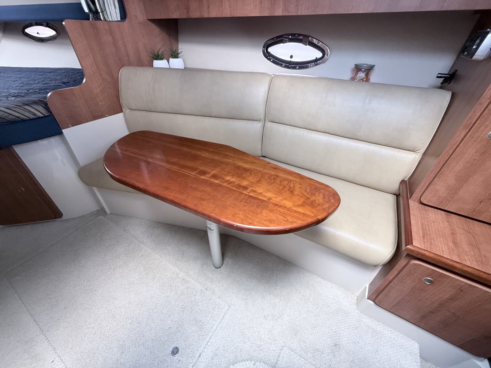 2009 Cruisers Yachts 300 CXi - Photo 31