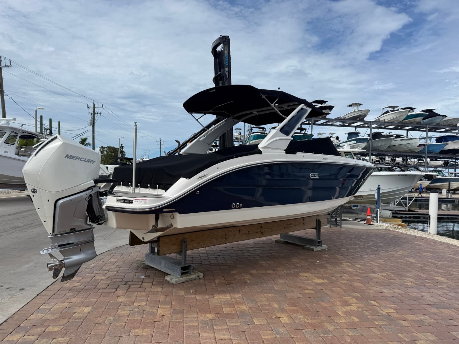 2025 Sea Ray SDX 270 Outboard - Photo 8