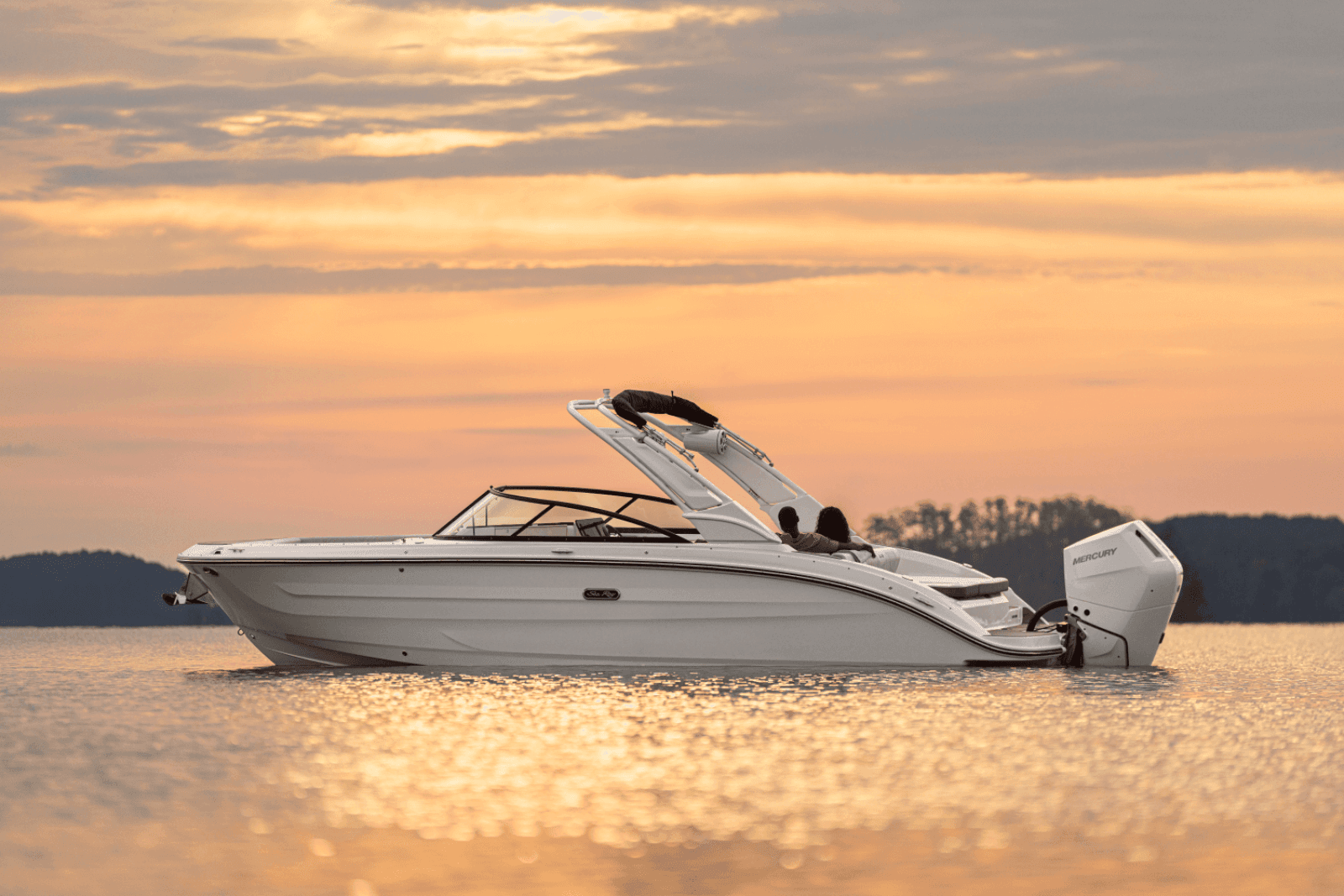 2025 Sea Ray SDX 270 Outboard - Photo 39