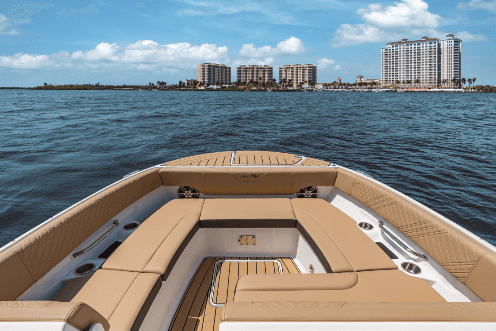 2025 Sea Ray SDX 270 Outboard - Photo 9
