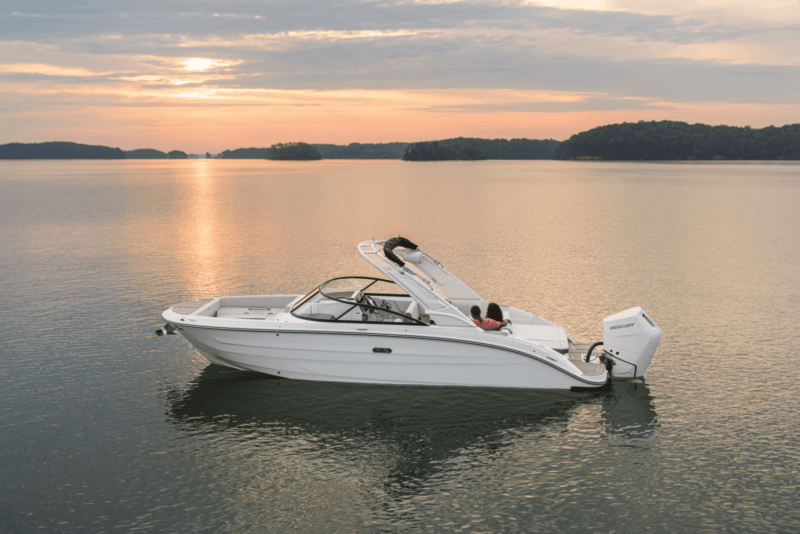 2025 Sea Ray SDX 270 Outboard - Photo 38