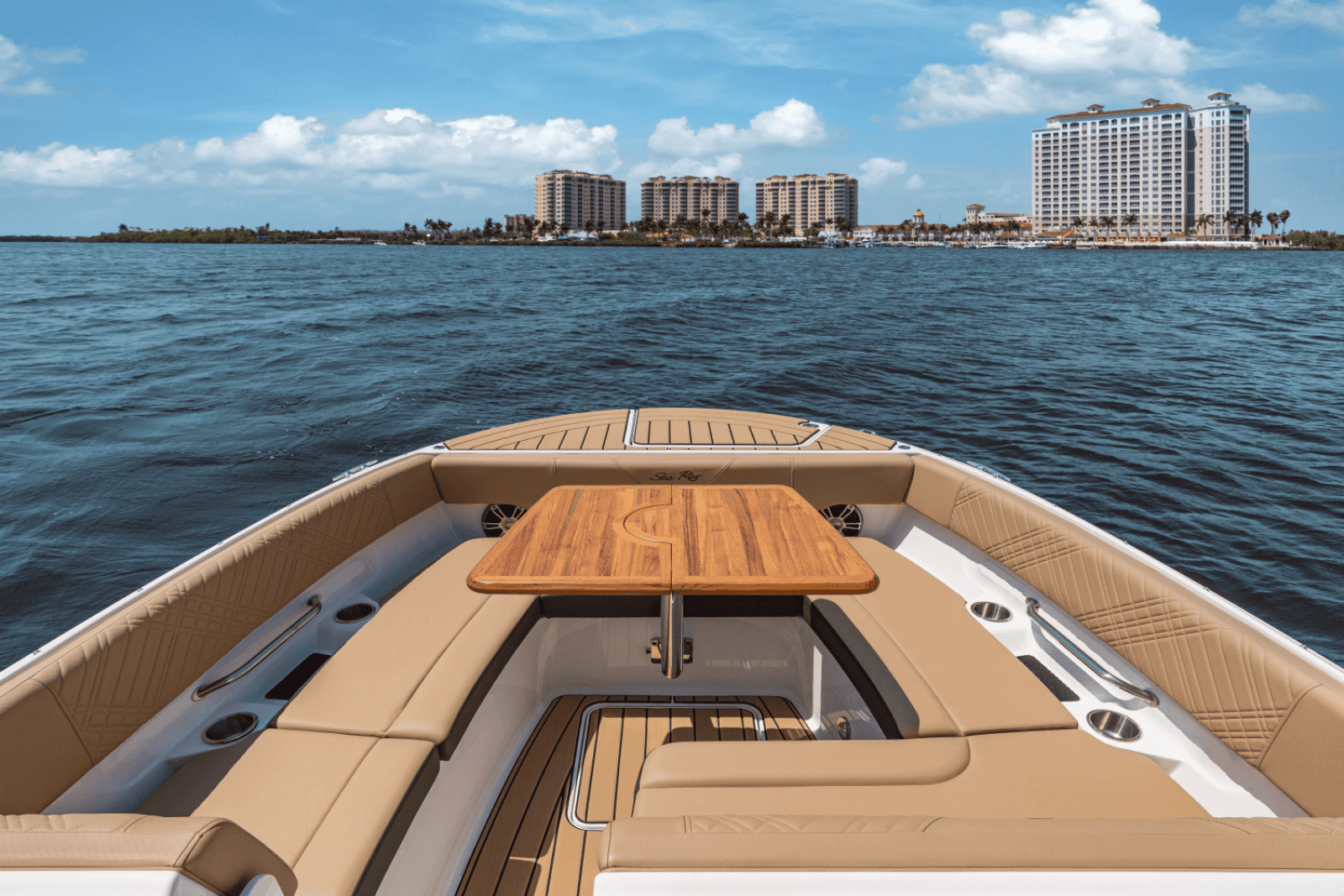 2025 Sea Ray SDX 270 Outboard - Photo 11