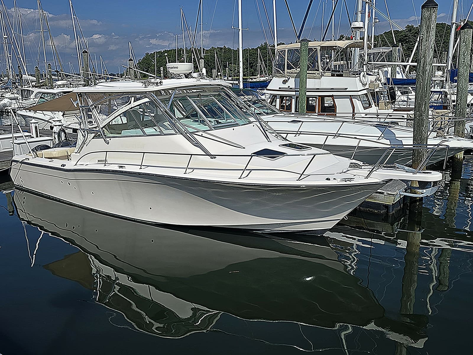 2007 Grady-White 360 Express - Photo 1