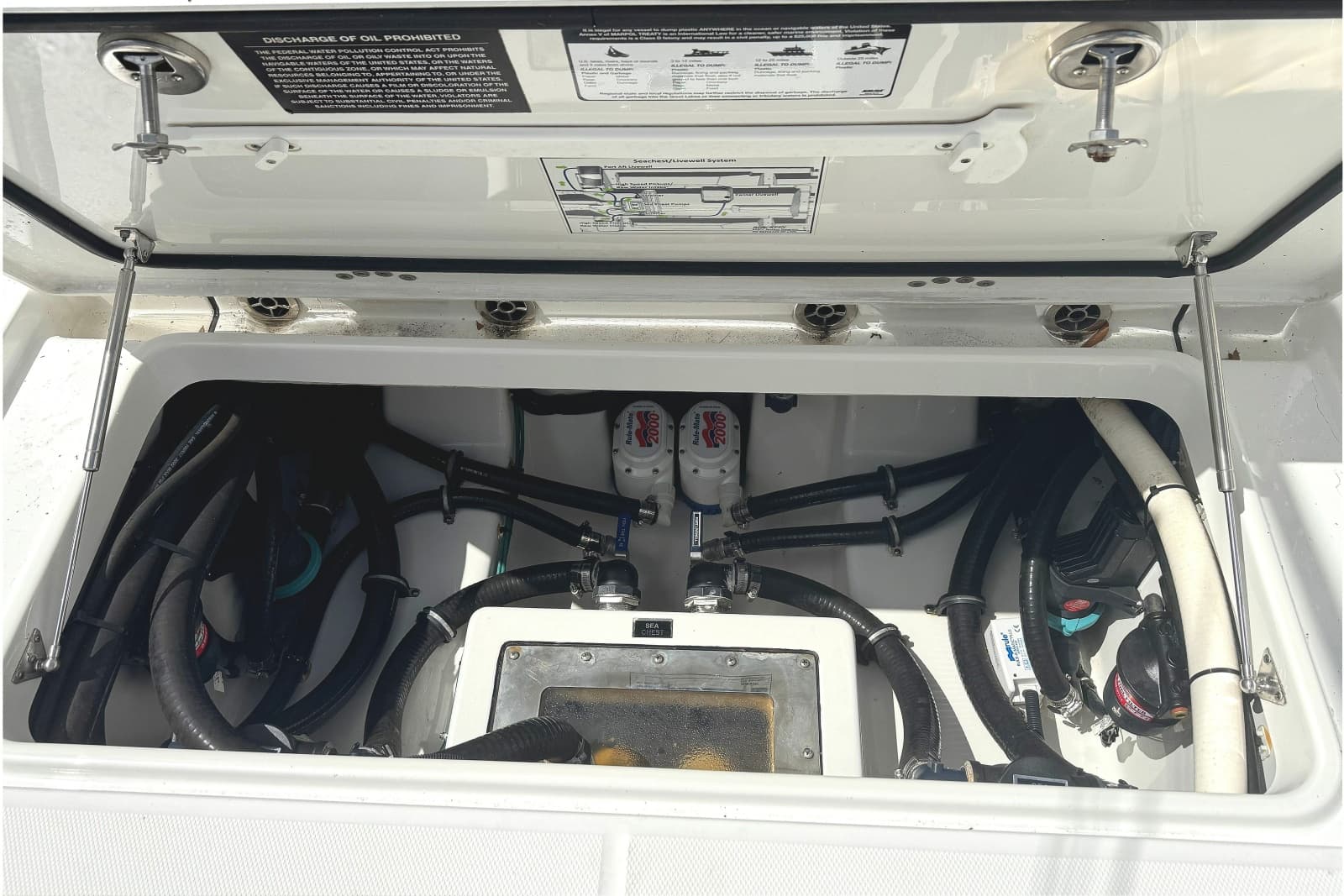 2021 Blackfin 332 CC - Photo 37