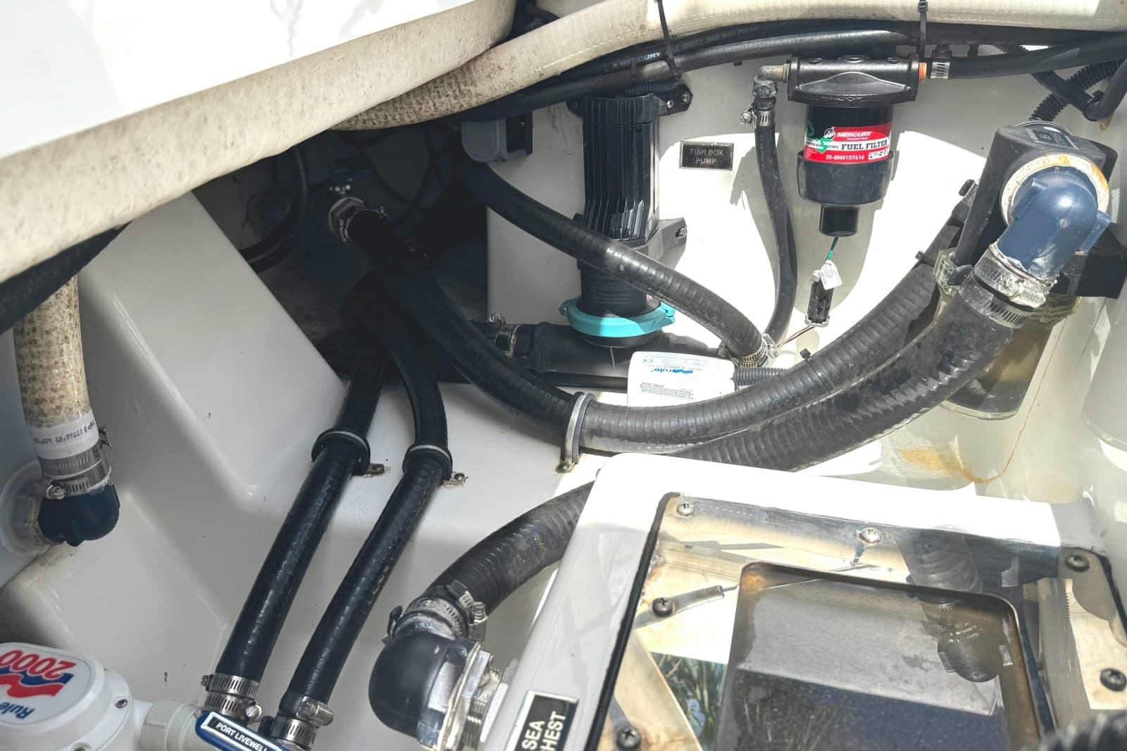 2021 Blackfin 332 CC - Photo 39