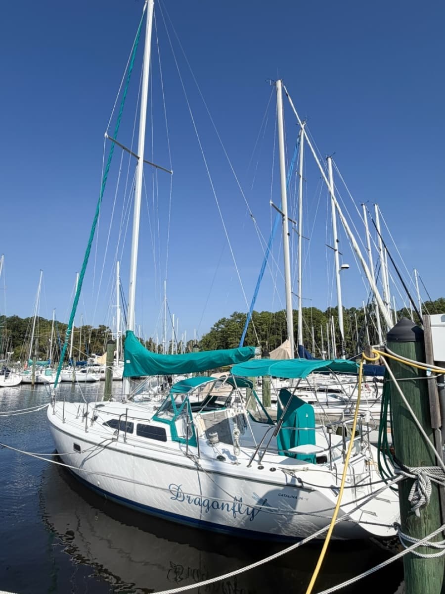 1996 Catalina 36 - Photo 2