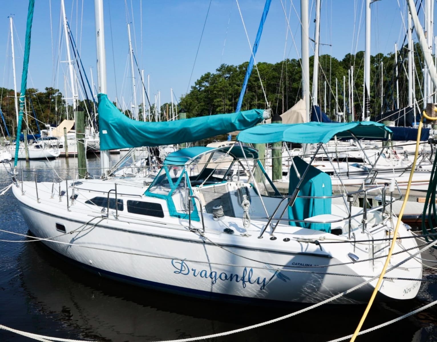 1996 Catalina 36 - Photo 1