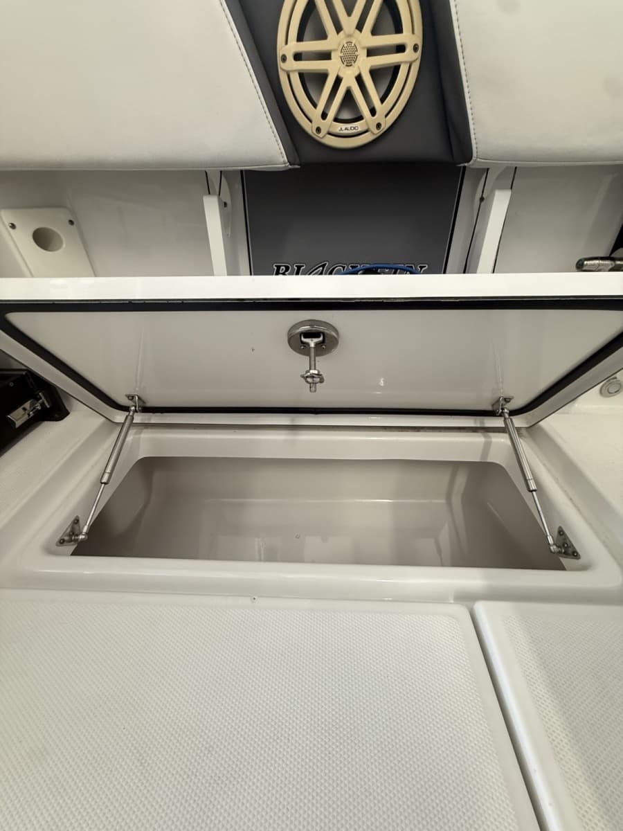 2020 Blackfin  - Photo 21