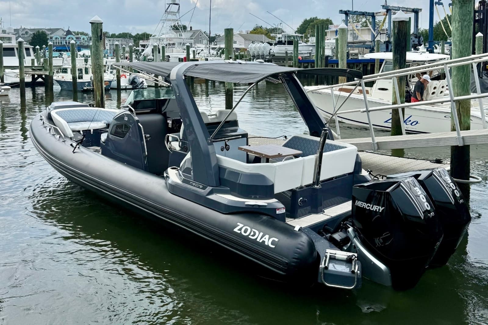 2026 Zodiac  - Photo 1