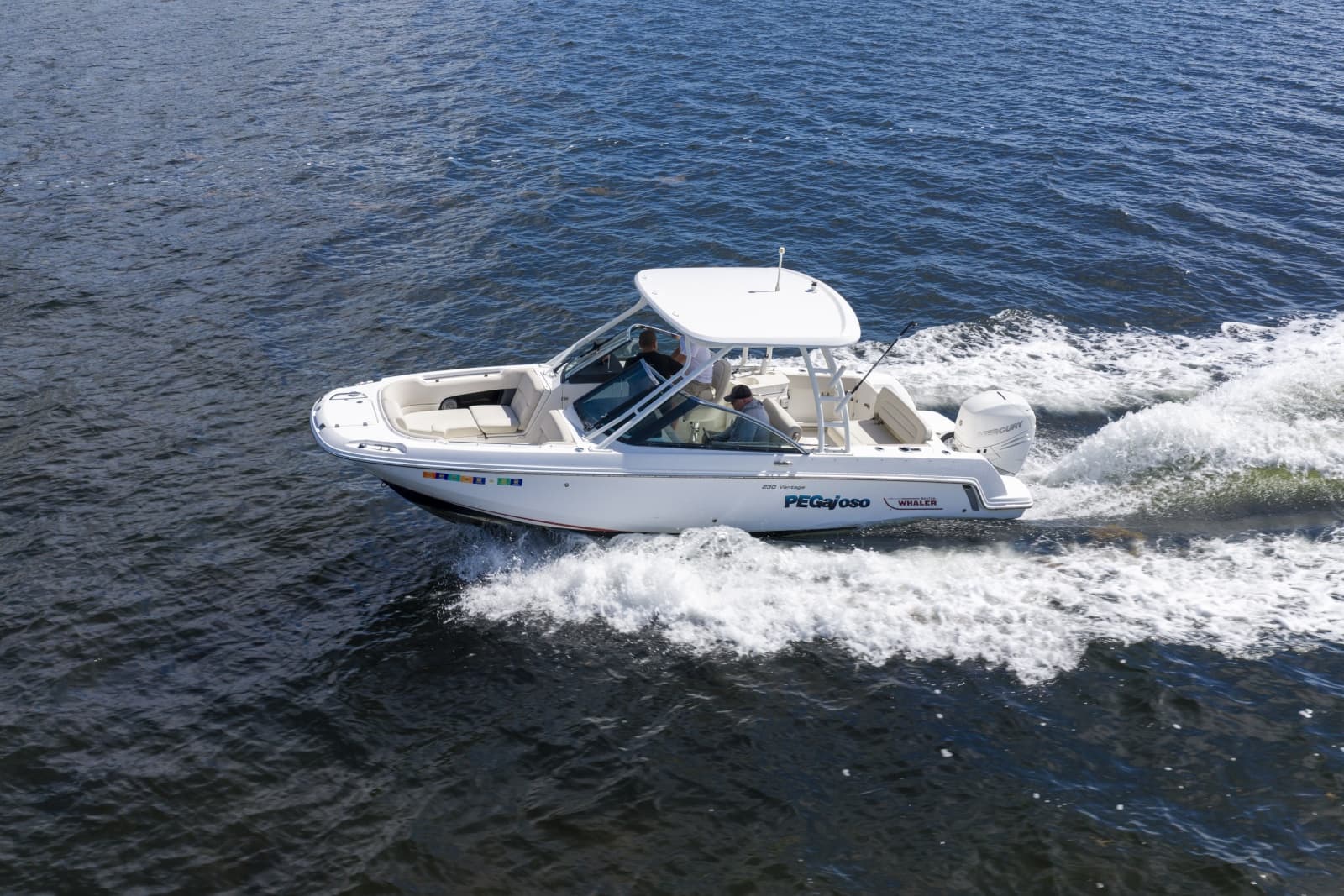 2016 Boston Whaler 230 VANTAGE - Photo 8