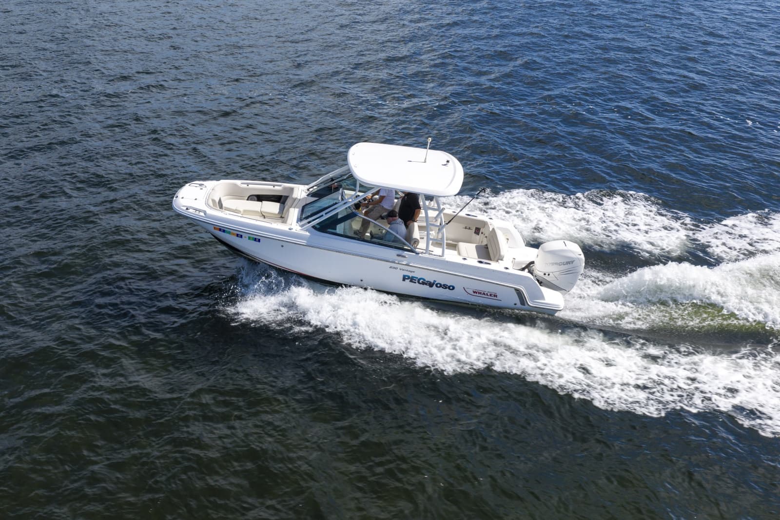 2016 Boston Whaler 230 VANTAGE - Photo 4
