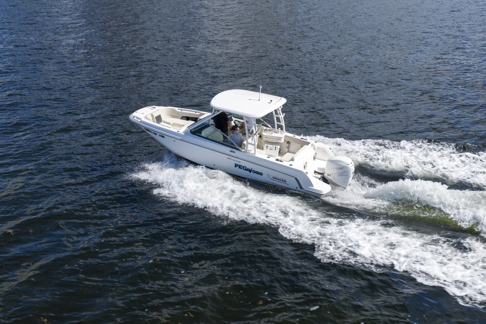 2016 Boston Whaler 230 VANTAGE - Photo 9