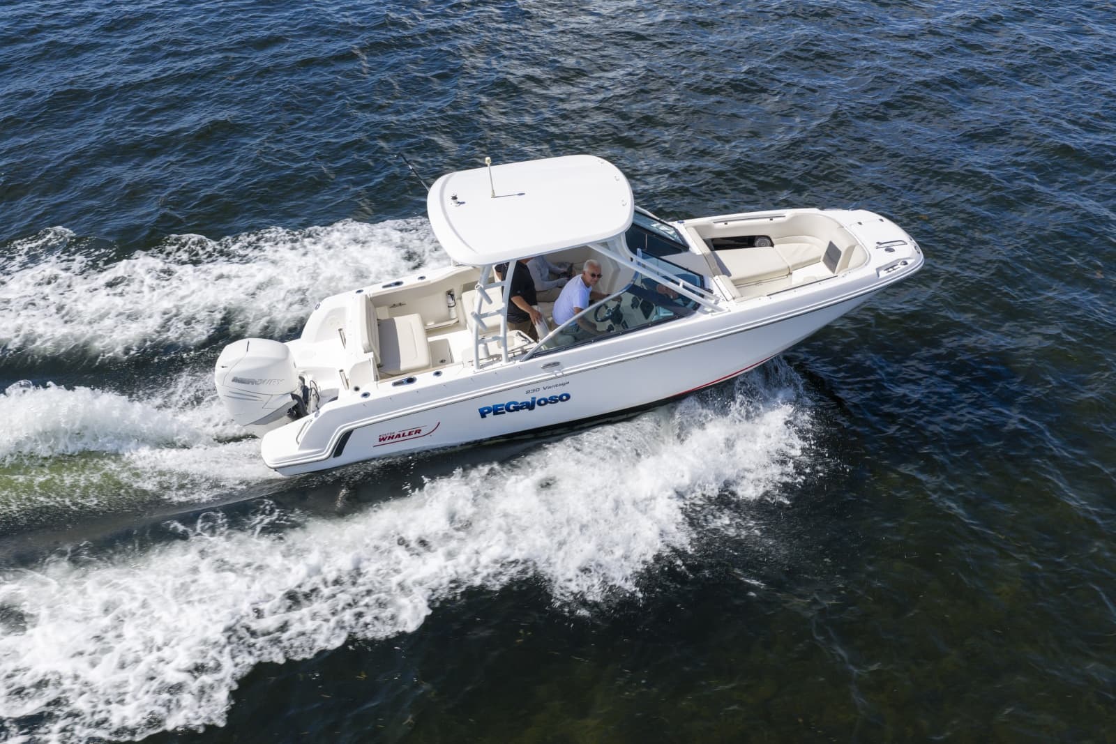 2016 Boston Whaler 230 VANTAGE - Photo 1