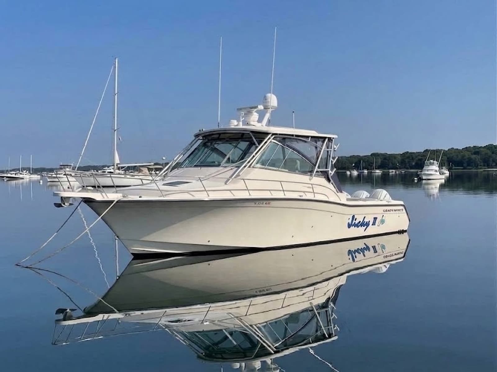 2007 Grady-White 365 Express - Photo 1