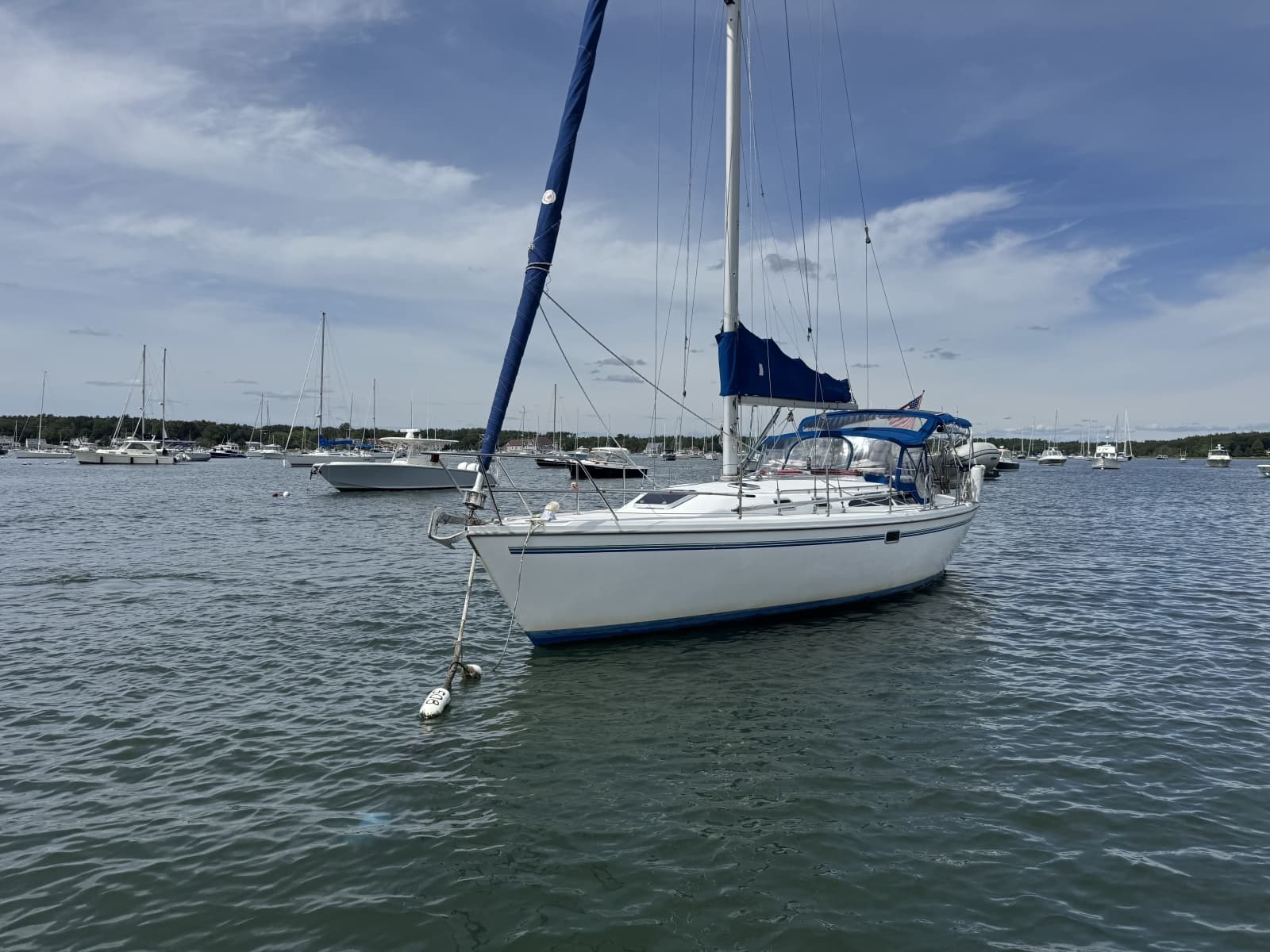1998 Catalina  - Photo 5