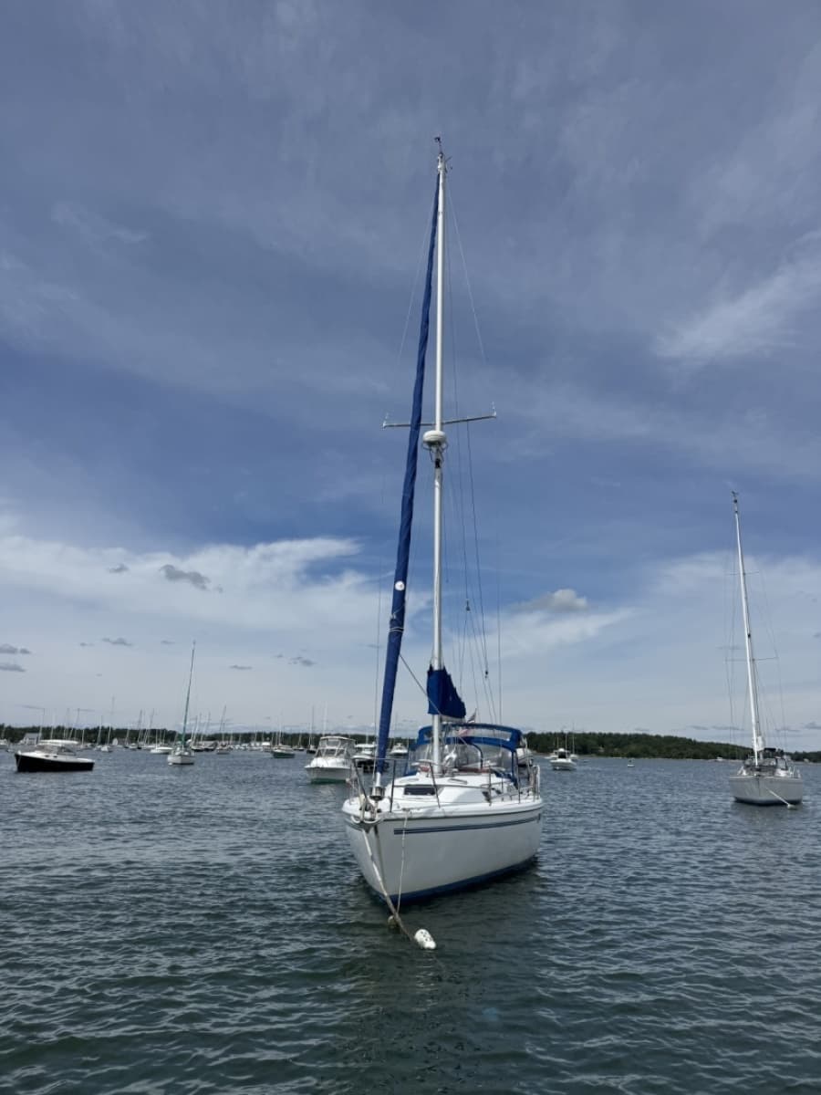 1998 Catalina  - Photo 6