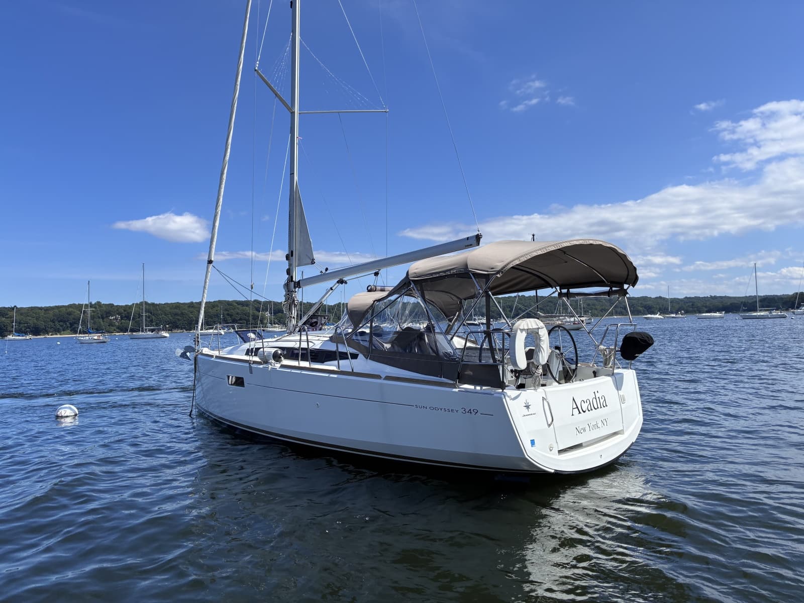 2015 Jeanneau Sun Odyssey 349 - Photo 3