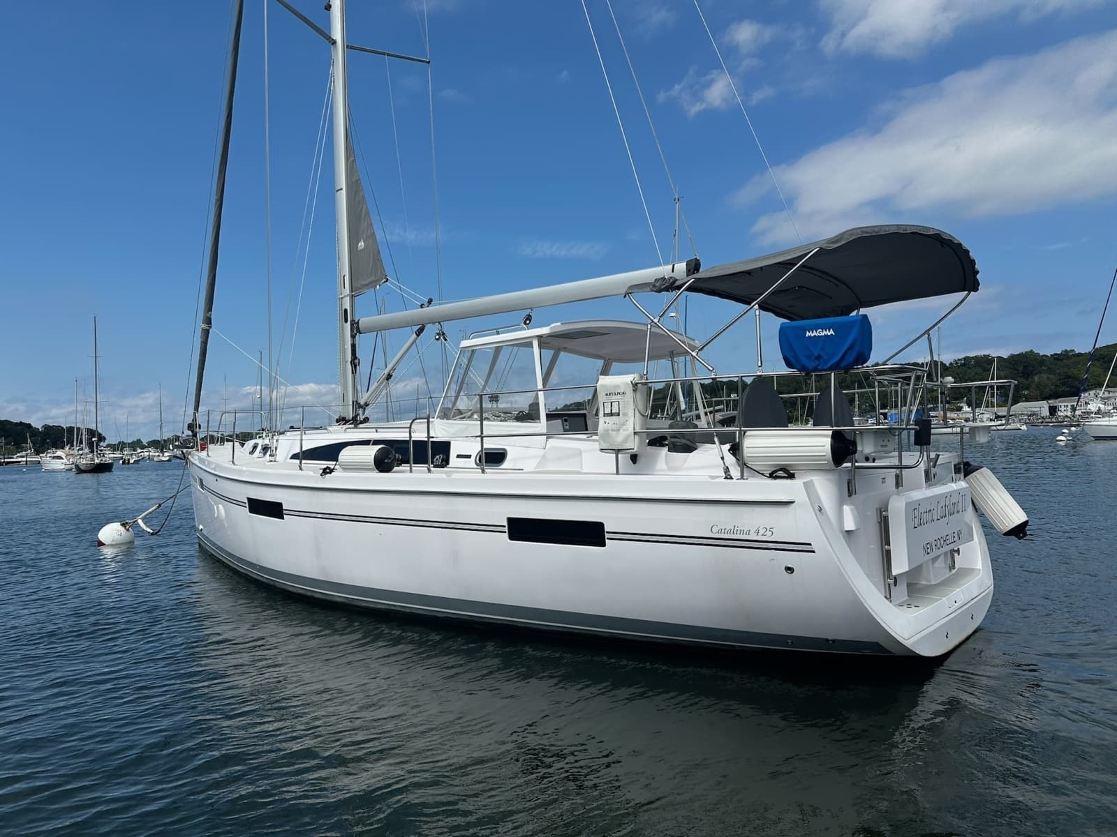 2020 Catalina 425 - Photo 7