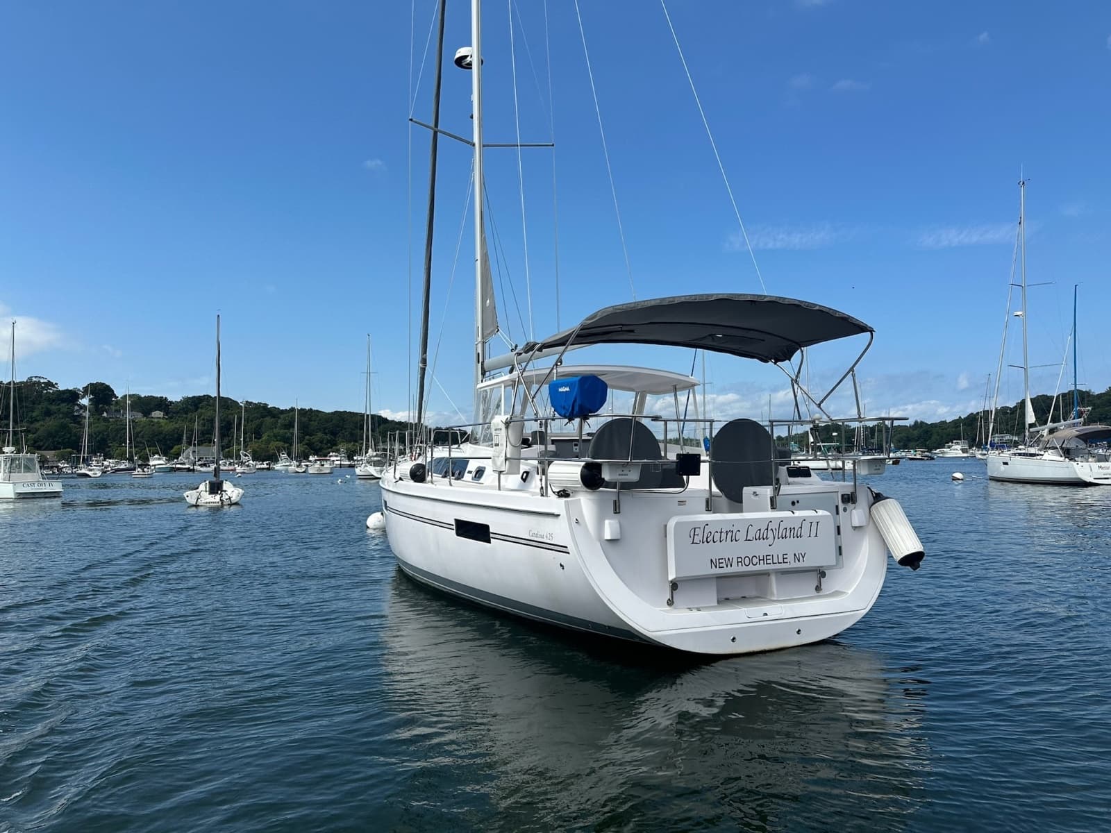2020 Catalina 425 - Photo 6