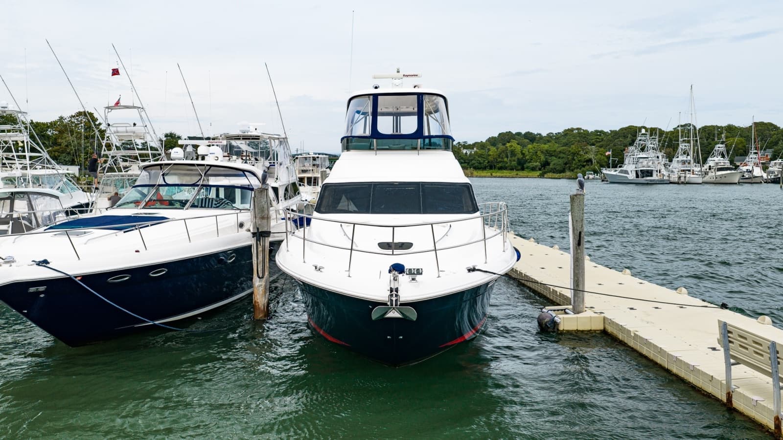 2006 Sea Ray 52 Sedan Bridge - Photo 4