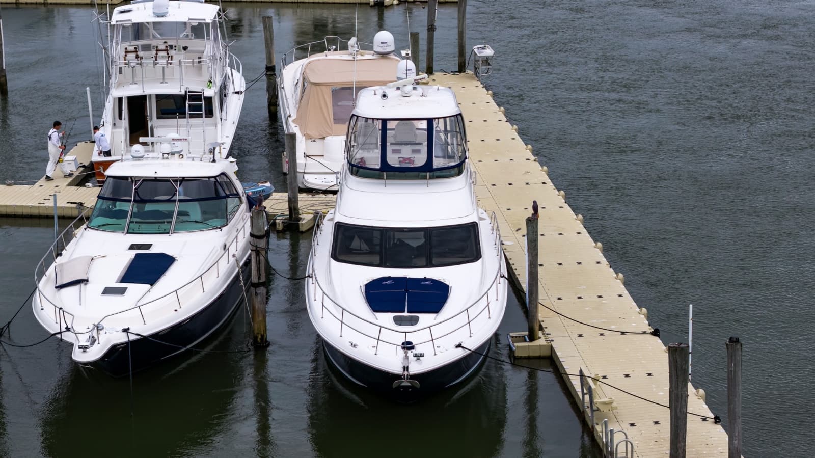 2006 Sea Ray 52 Sedan Bridge - Photo 50