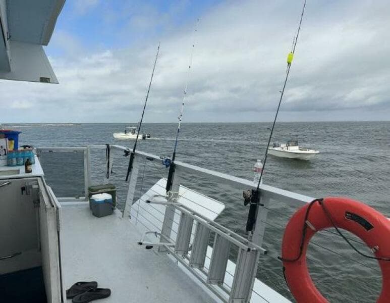 2018 Avenger Luxury Catamaran Coastal Cruiser - Photo 7