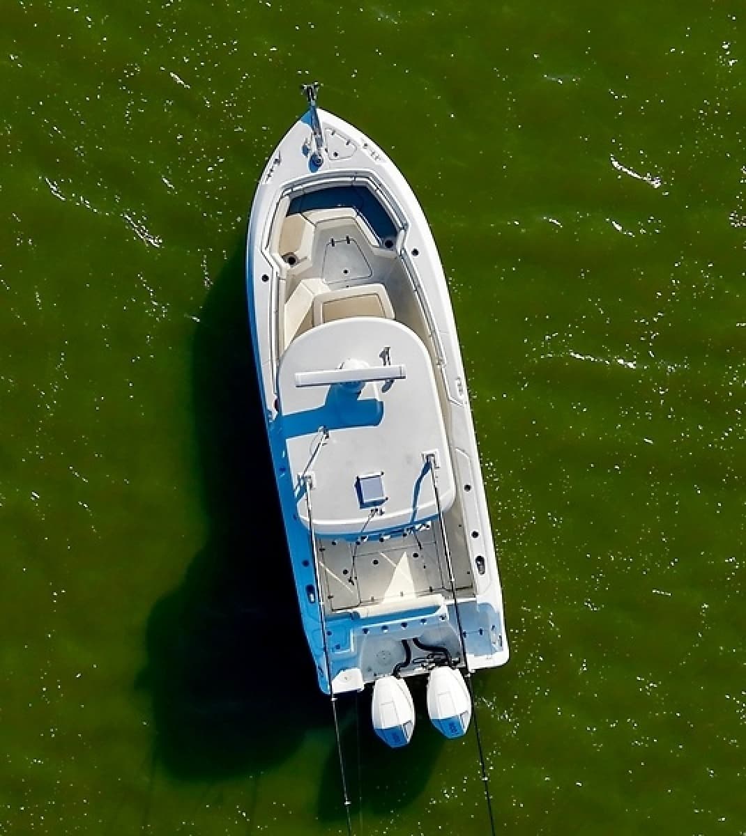 2024 Boston Whaler 250 Outrage - Photo 6
