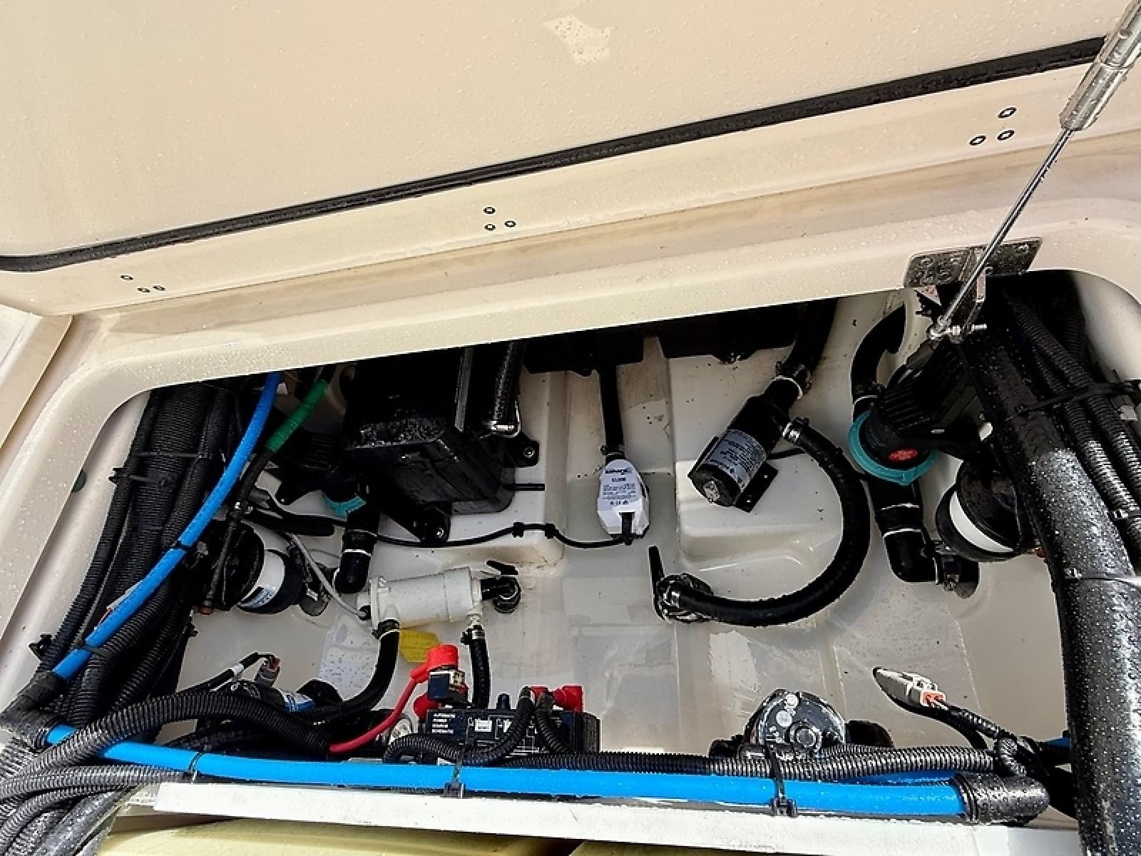 2024 Boston Whaler 250 Outrage - Photo 36