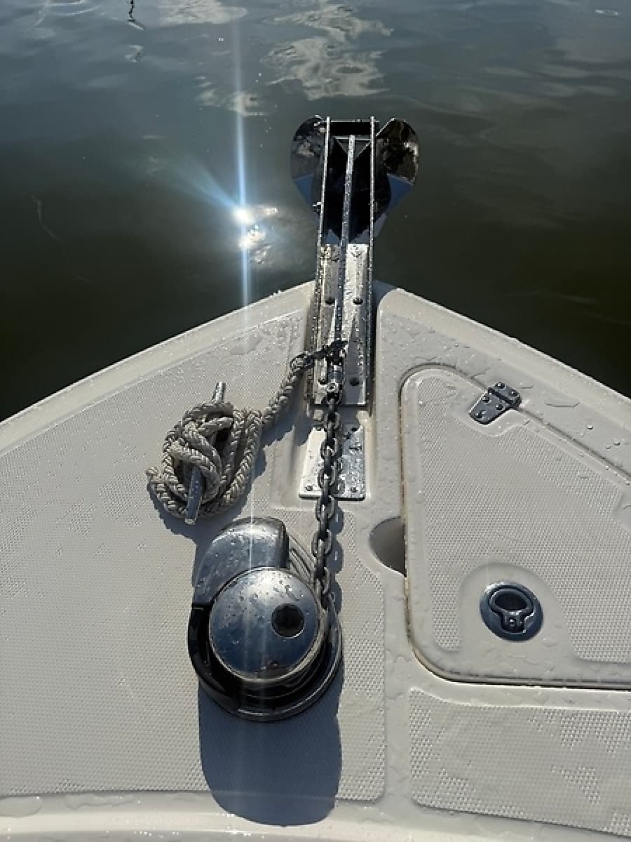 2024 Boston Whaler 250 Outrage - Photo 30
