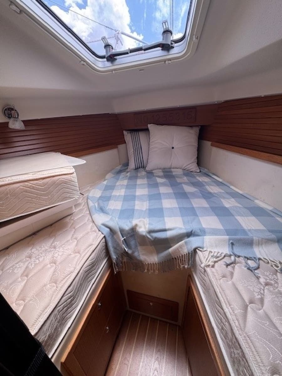 2015 Catalina 315 - Photo 21