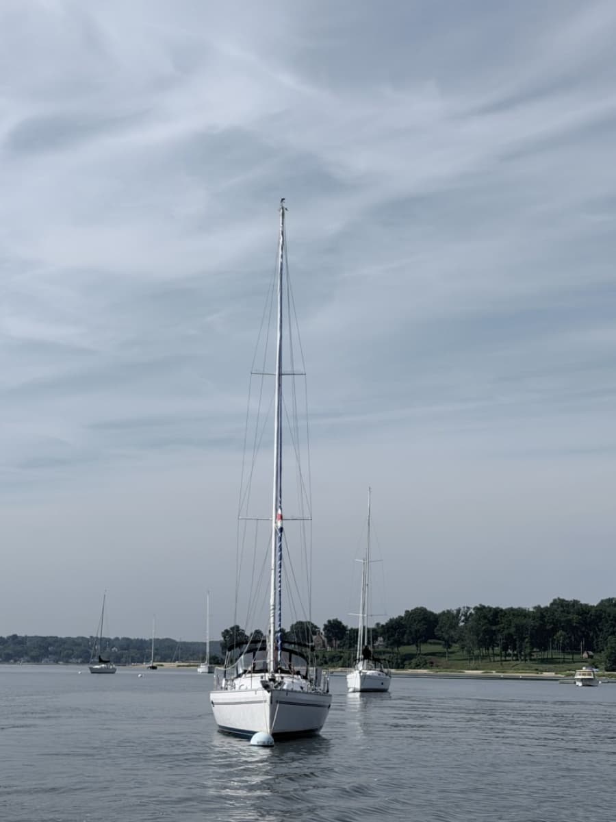 2015 Catalina 315 - Photo 2