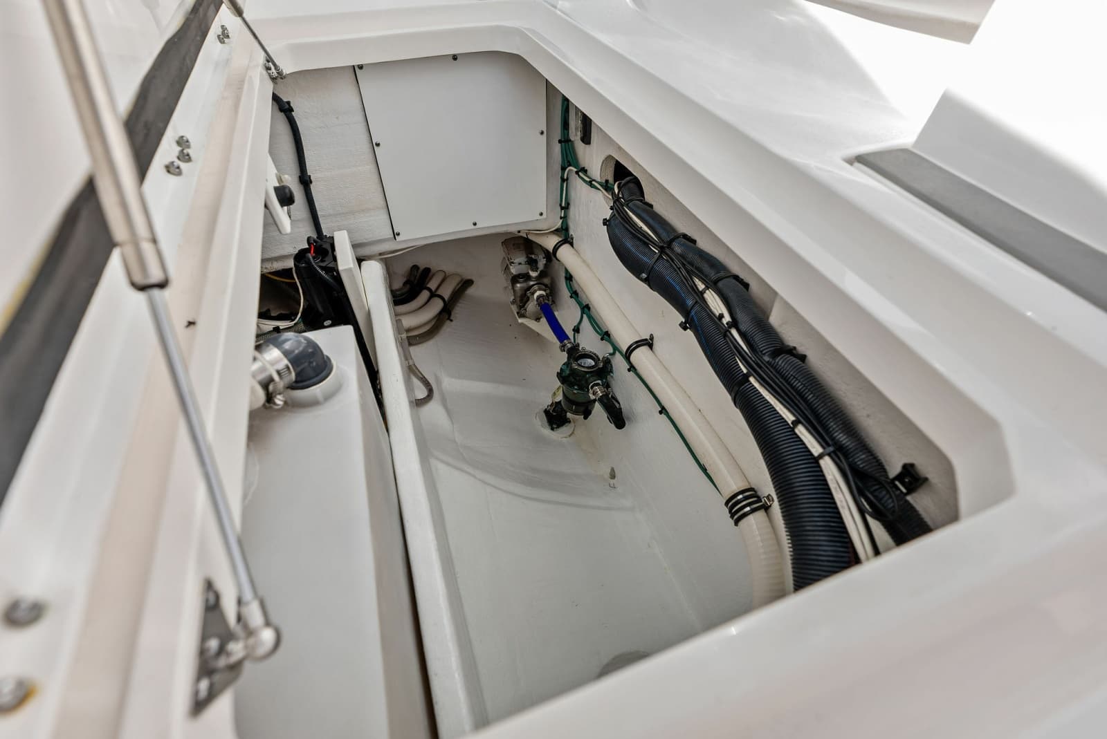 2019 Intrepid  - Photo 53