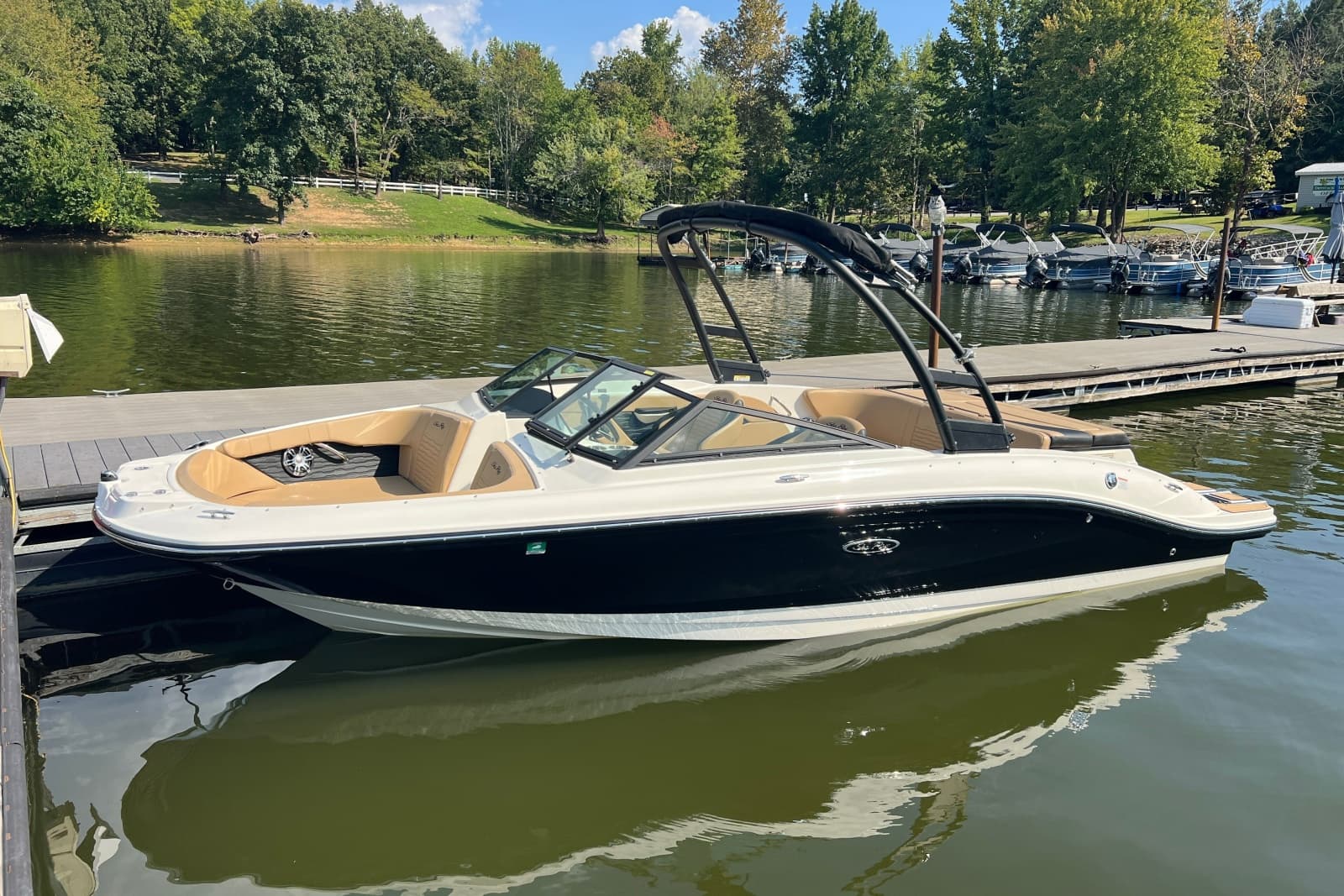2022 Sea Ray SPX 210 - Photo 3