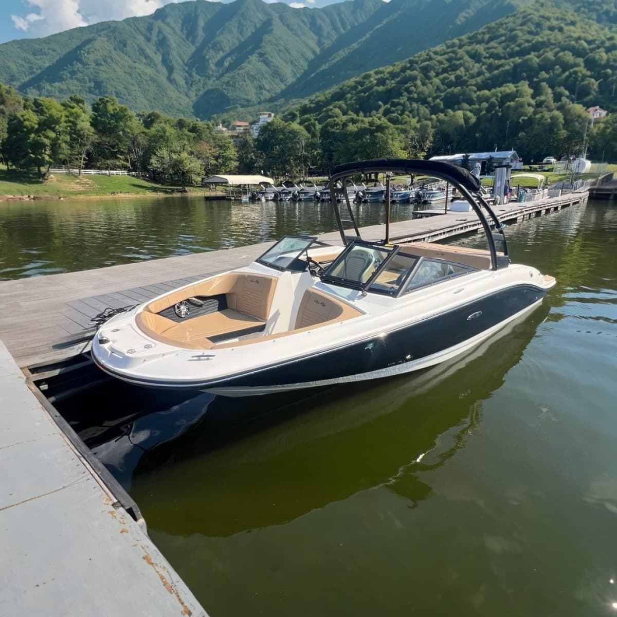 2022 Sea Ray SPX 210 - Photo 1
