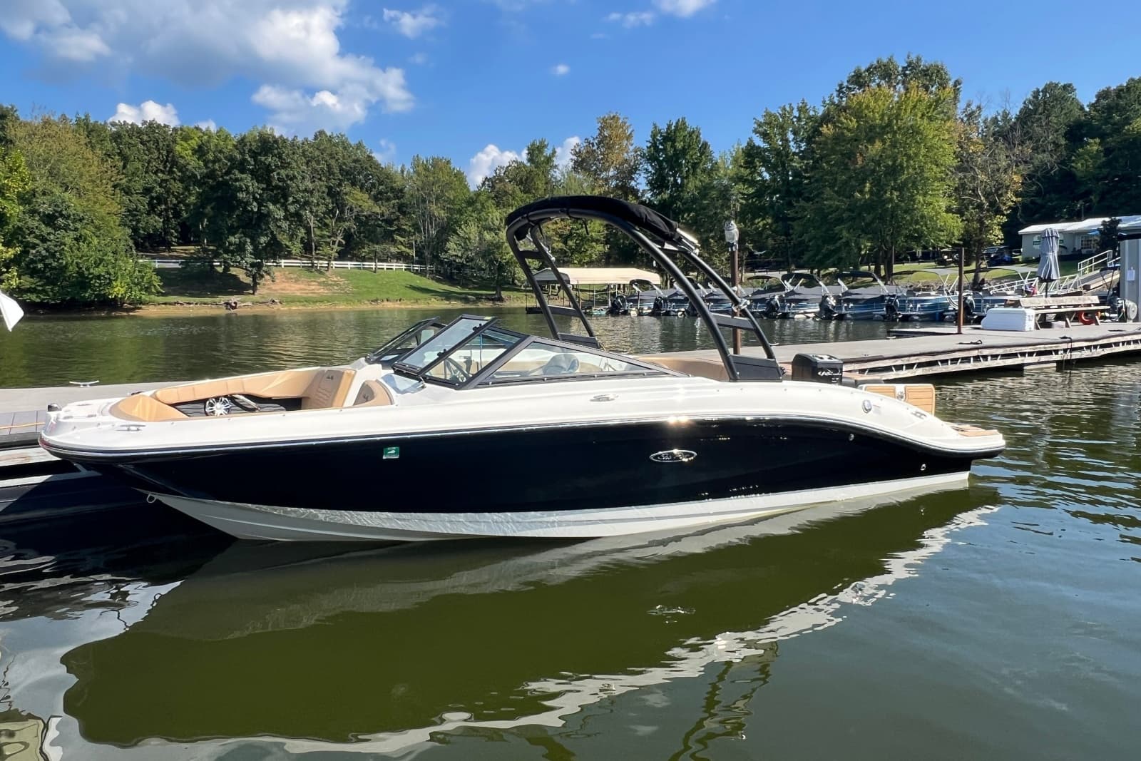 2022 Sea Ray SPX 210 - Photo 2