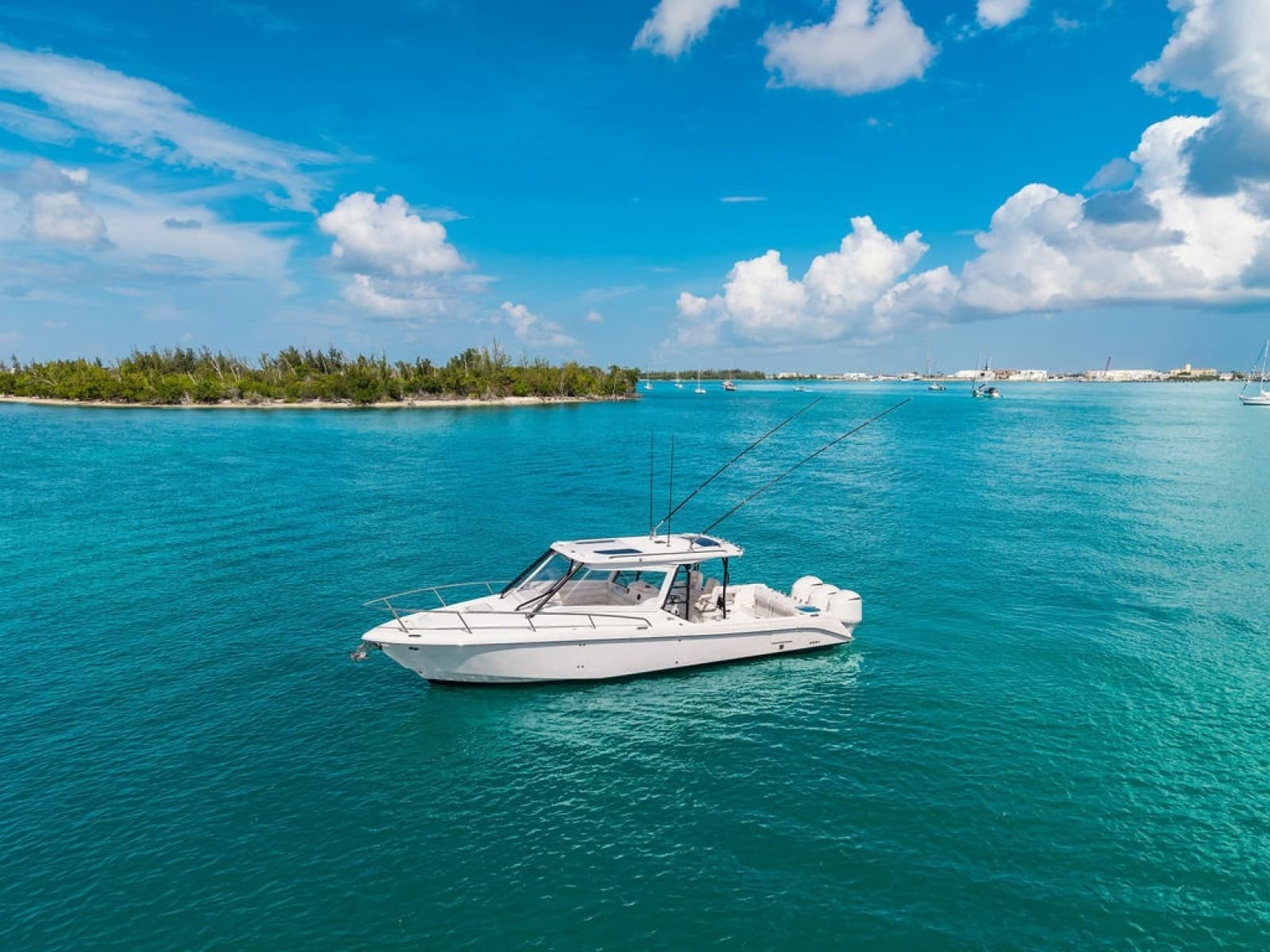 2019 Everglades  - Photo 4
