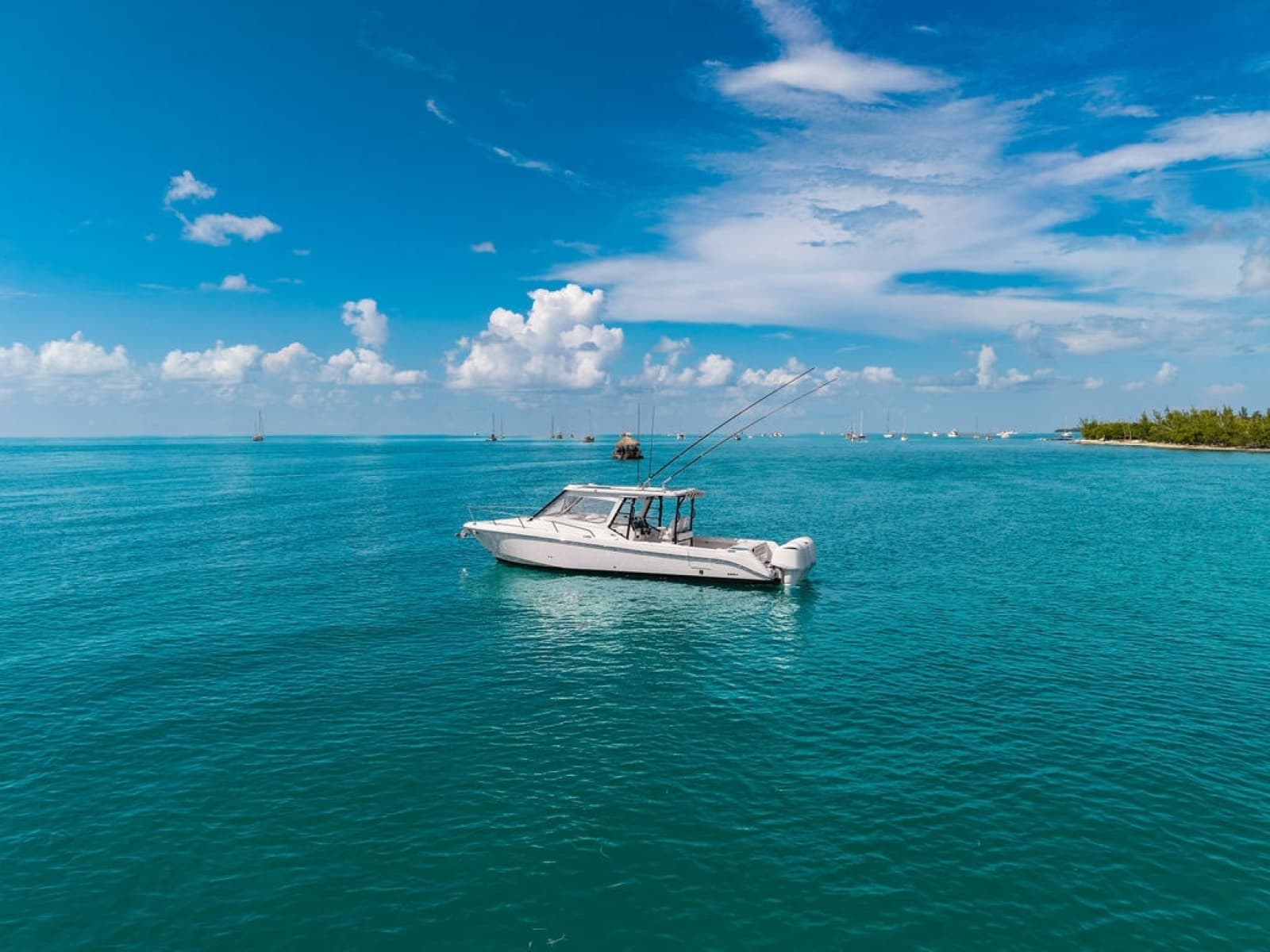 2019 Everglades  - Photo 12