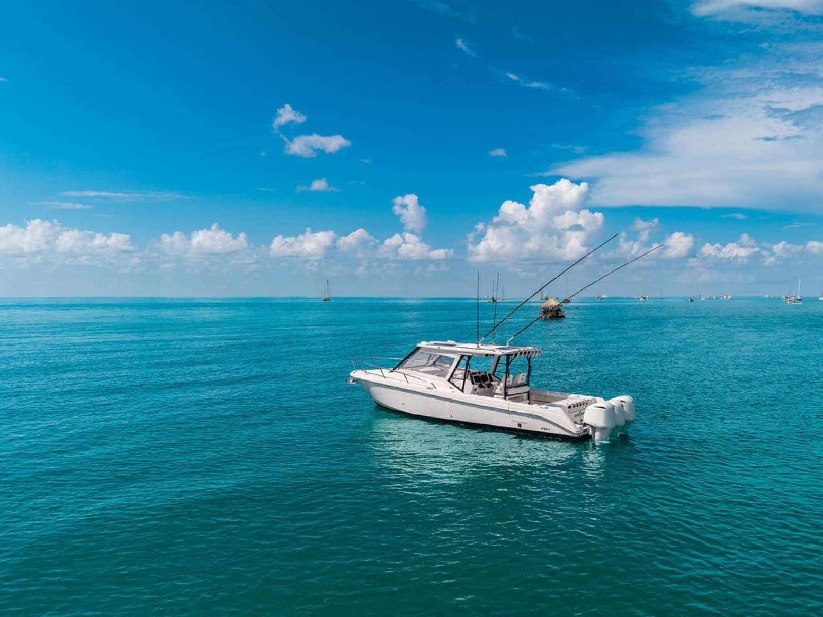 2019 Everglades  - Photo 11