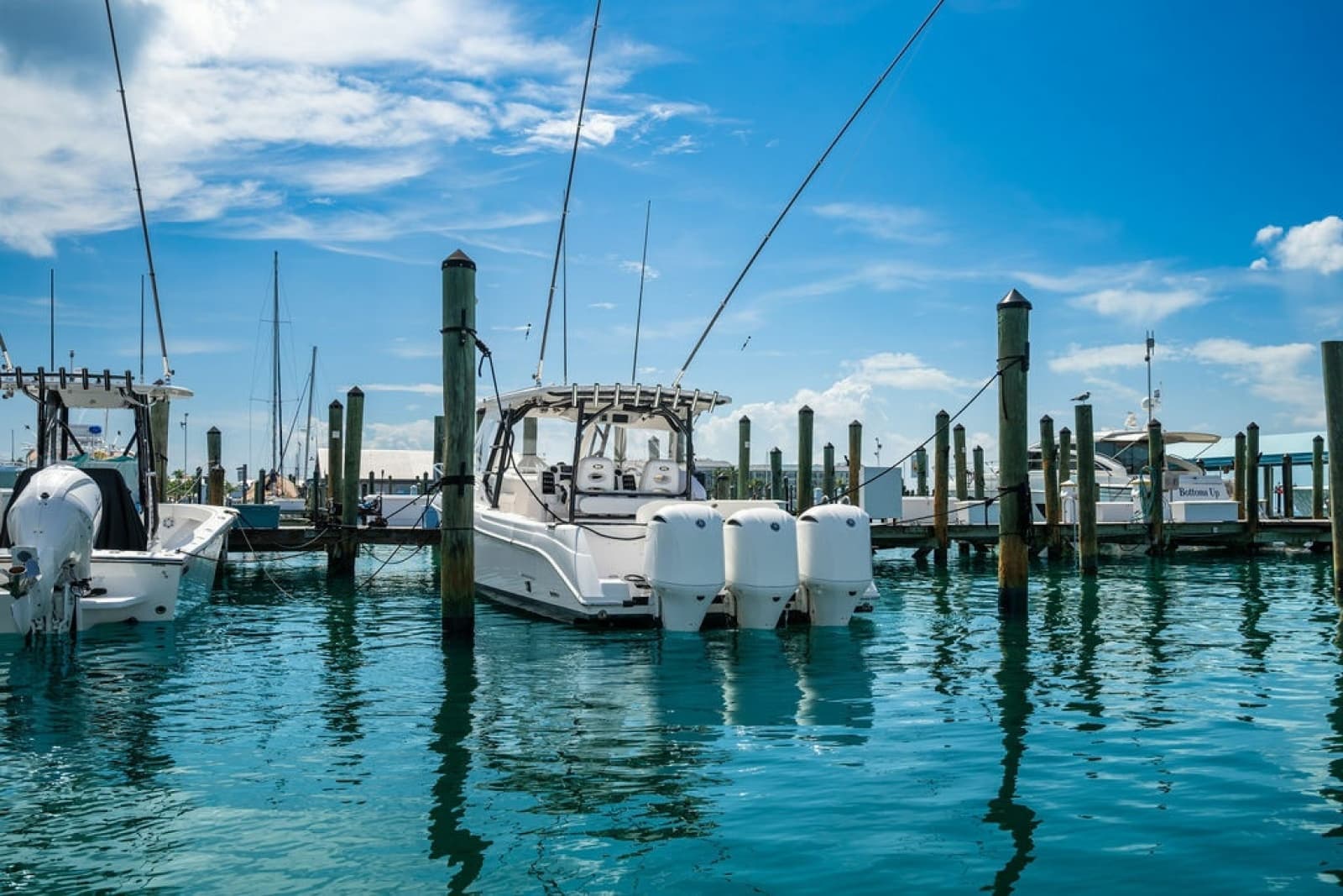 2019 Everglades  - Photo 26