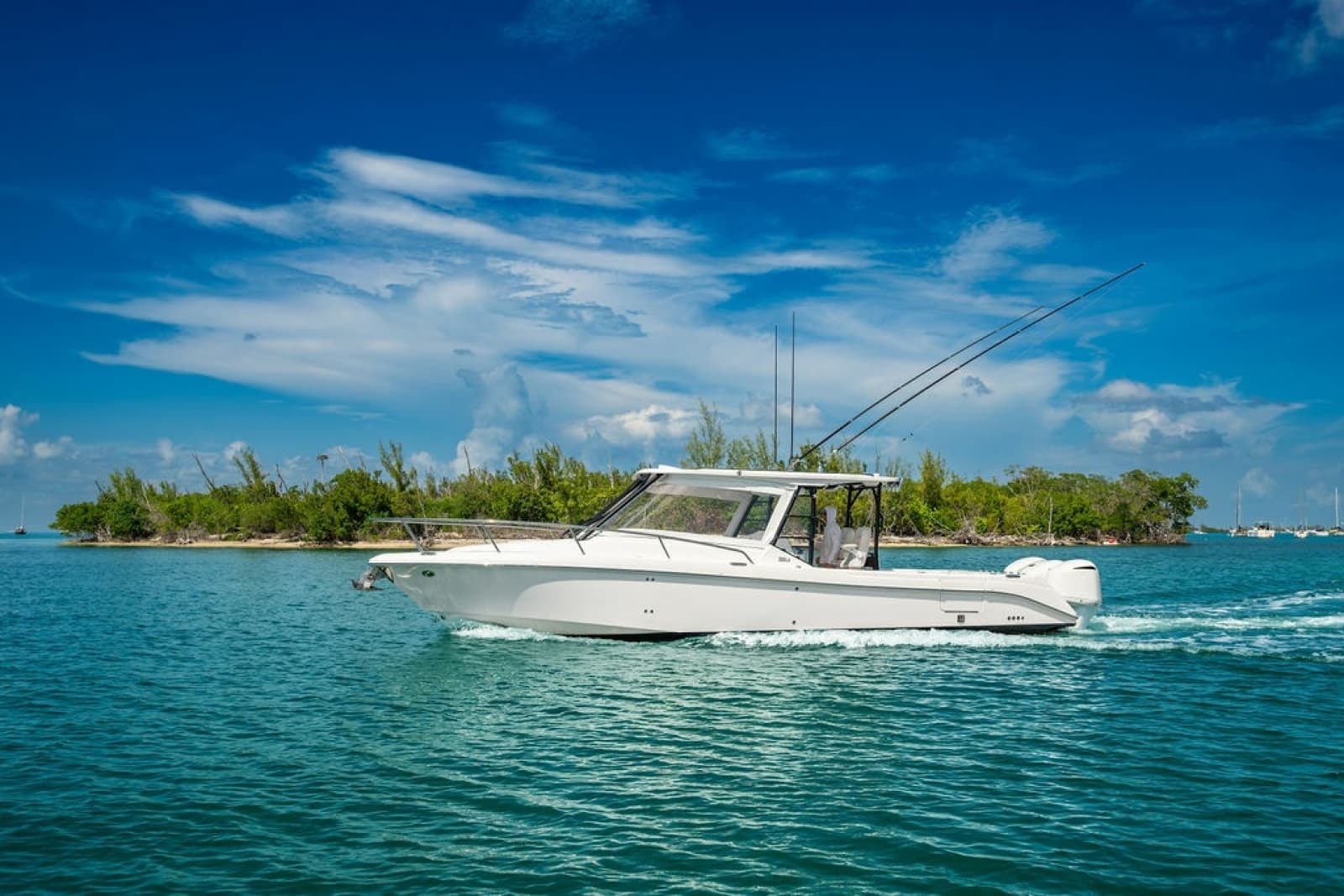 2019 Everglades  - Photo 40