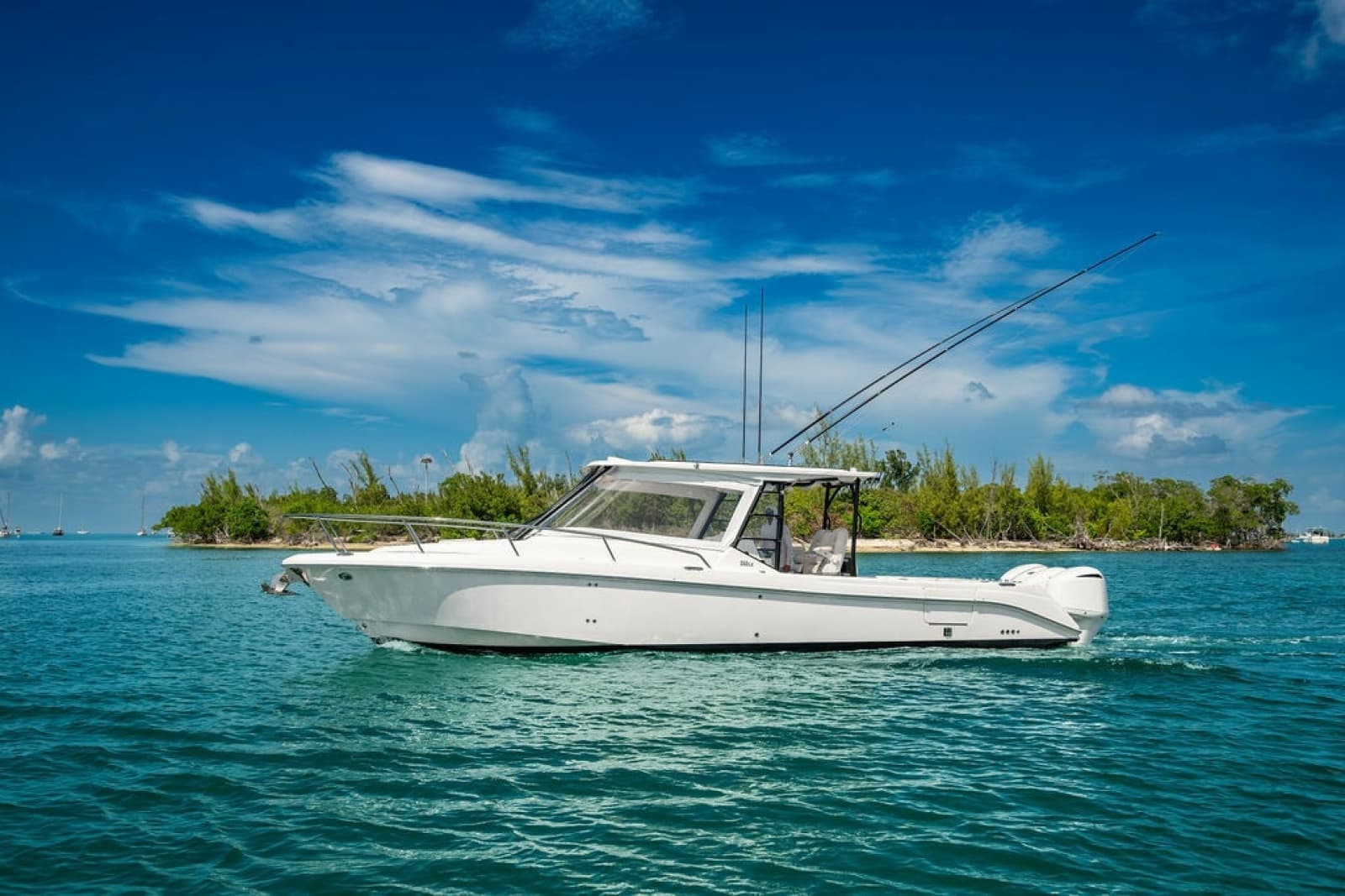 2019 Everglades  - Photo 41