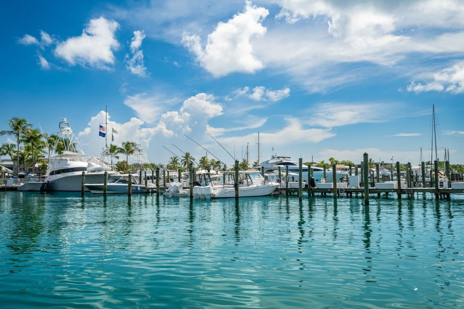 2019 Everglades  - Photo 27