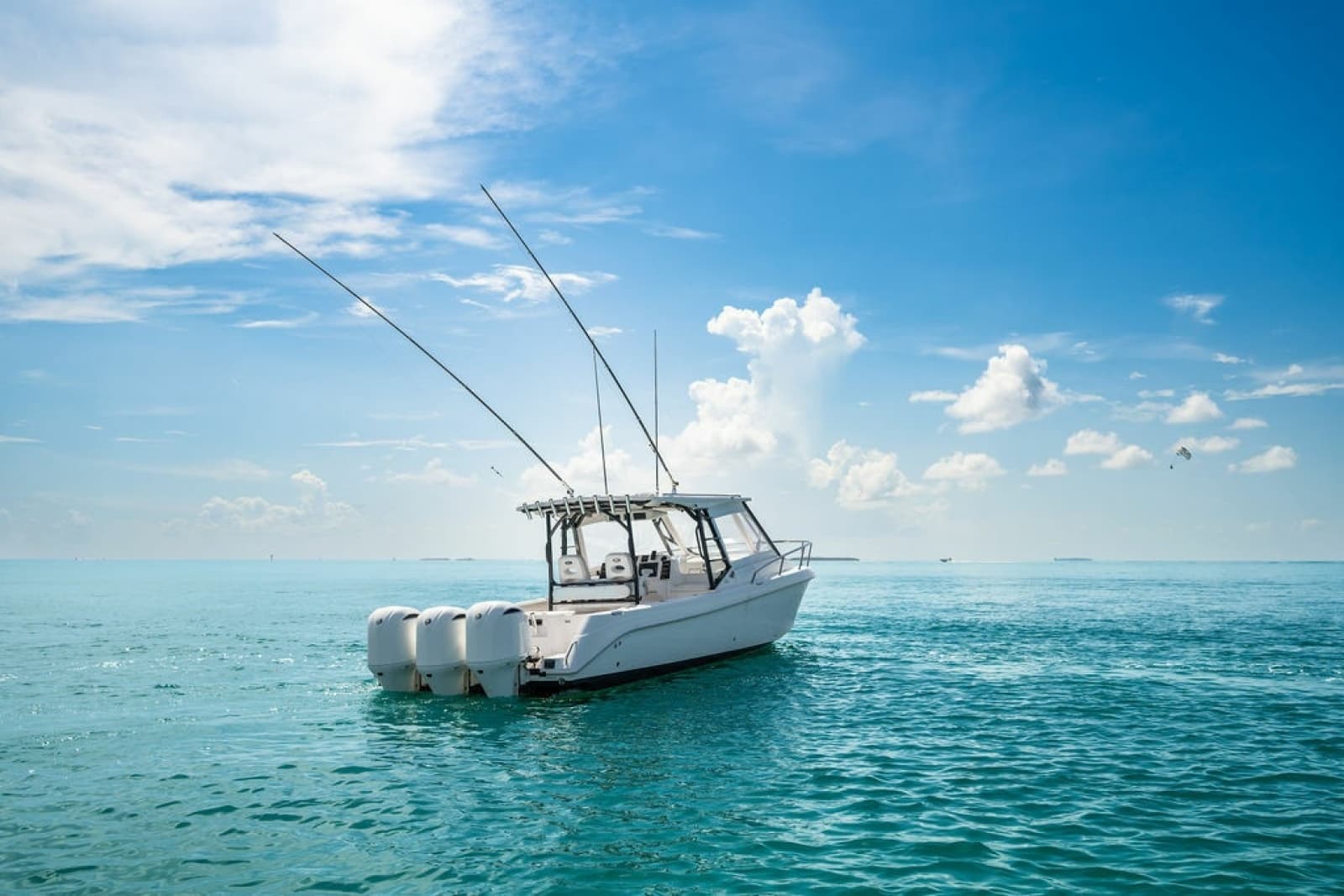 2019 Everglades  - Photo 60
