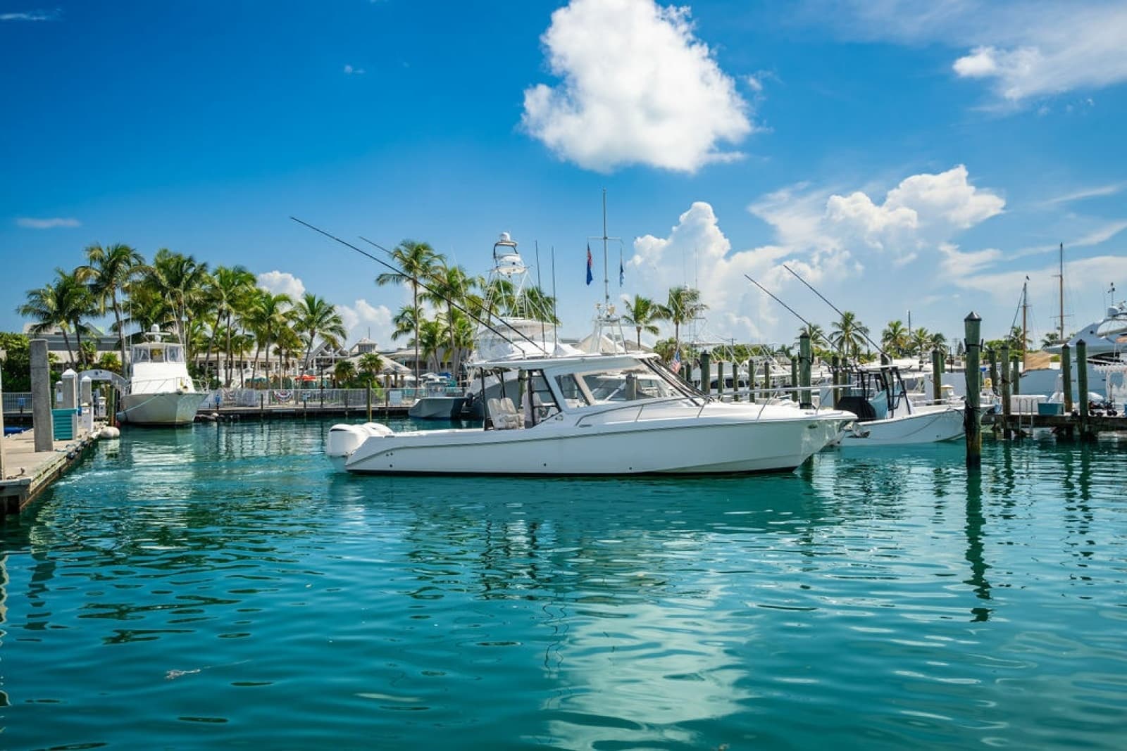 2019 Everglades  - Photo 28